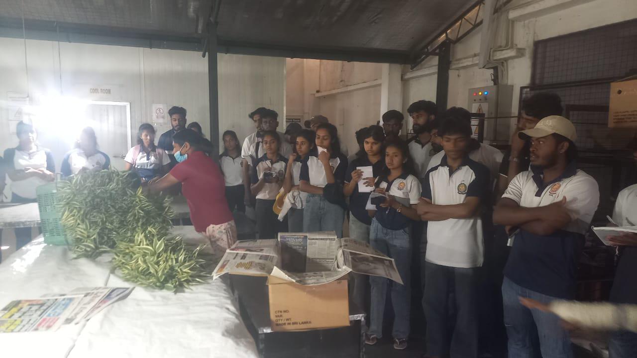 Ramya Horticulture